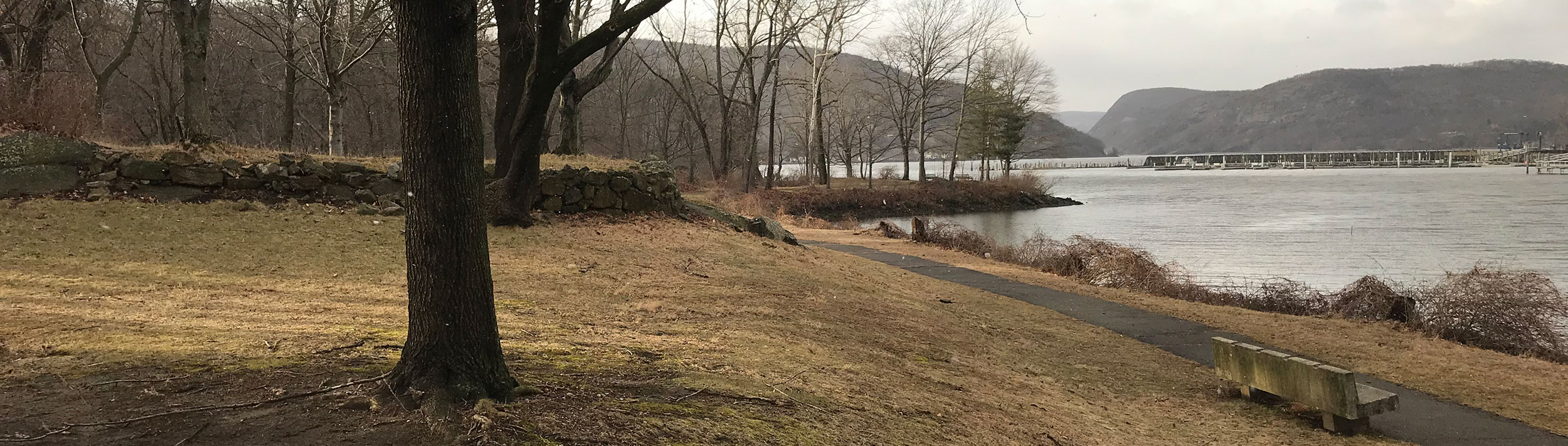 February 11 Online Public Meeting